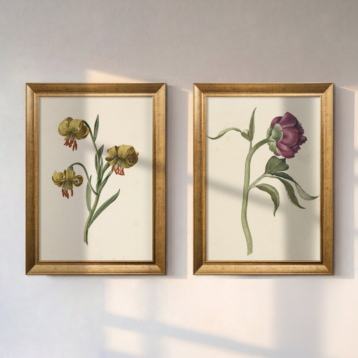 Vintage Botanik Çiçekler İkili Kanvas Tablo Seti – Krem Zemin Floral Duvar Sanatı