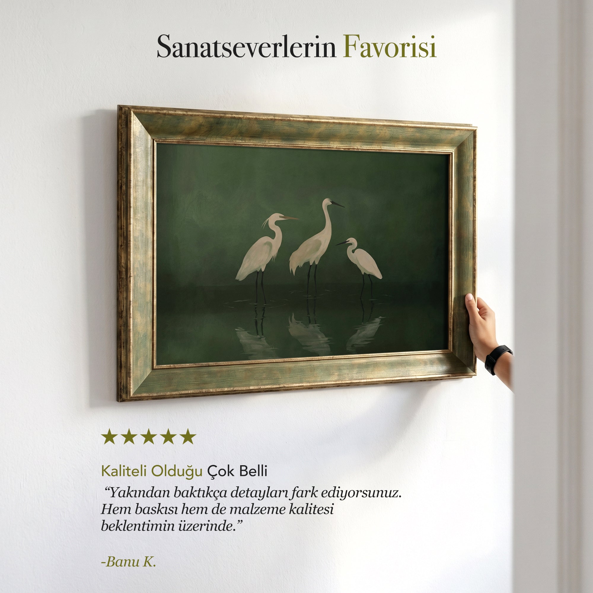 "Beyaz Balıkçıllar" Kanvas Tablo