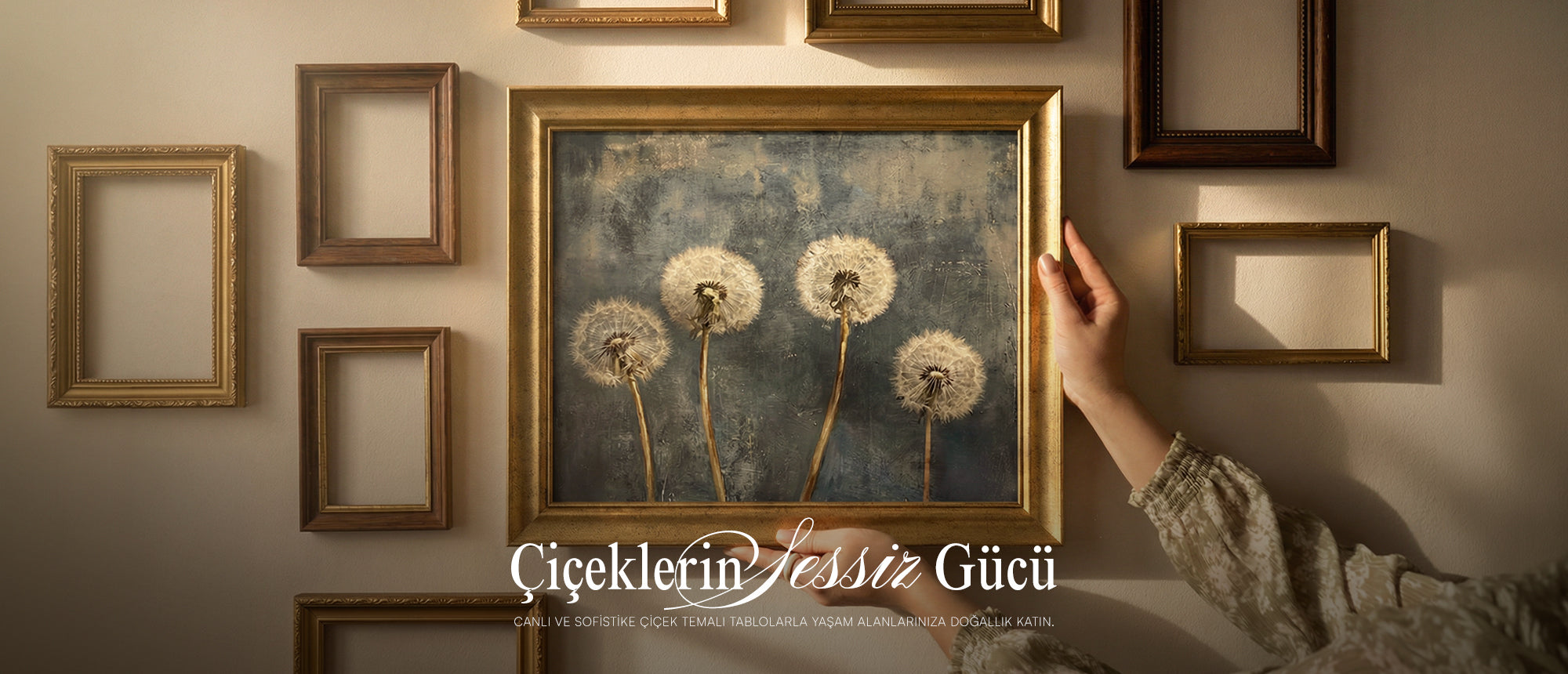 slider image slider_item_DEwxrF